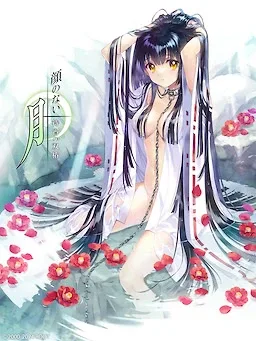 无颜之月-待宵双椿 无颜之月-待宵双椿 顔のない月 重制版介绍 封面图