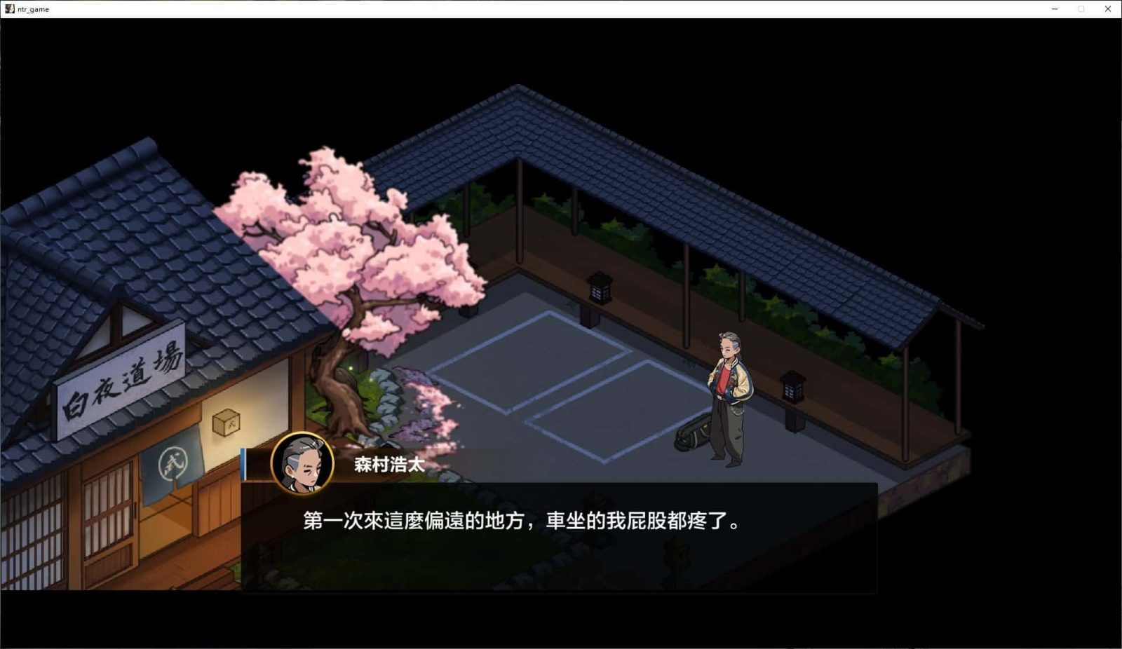 护身术道场 奇幻题材 实机截图 7