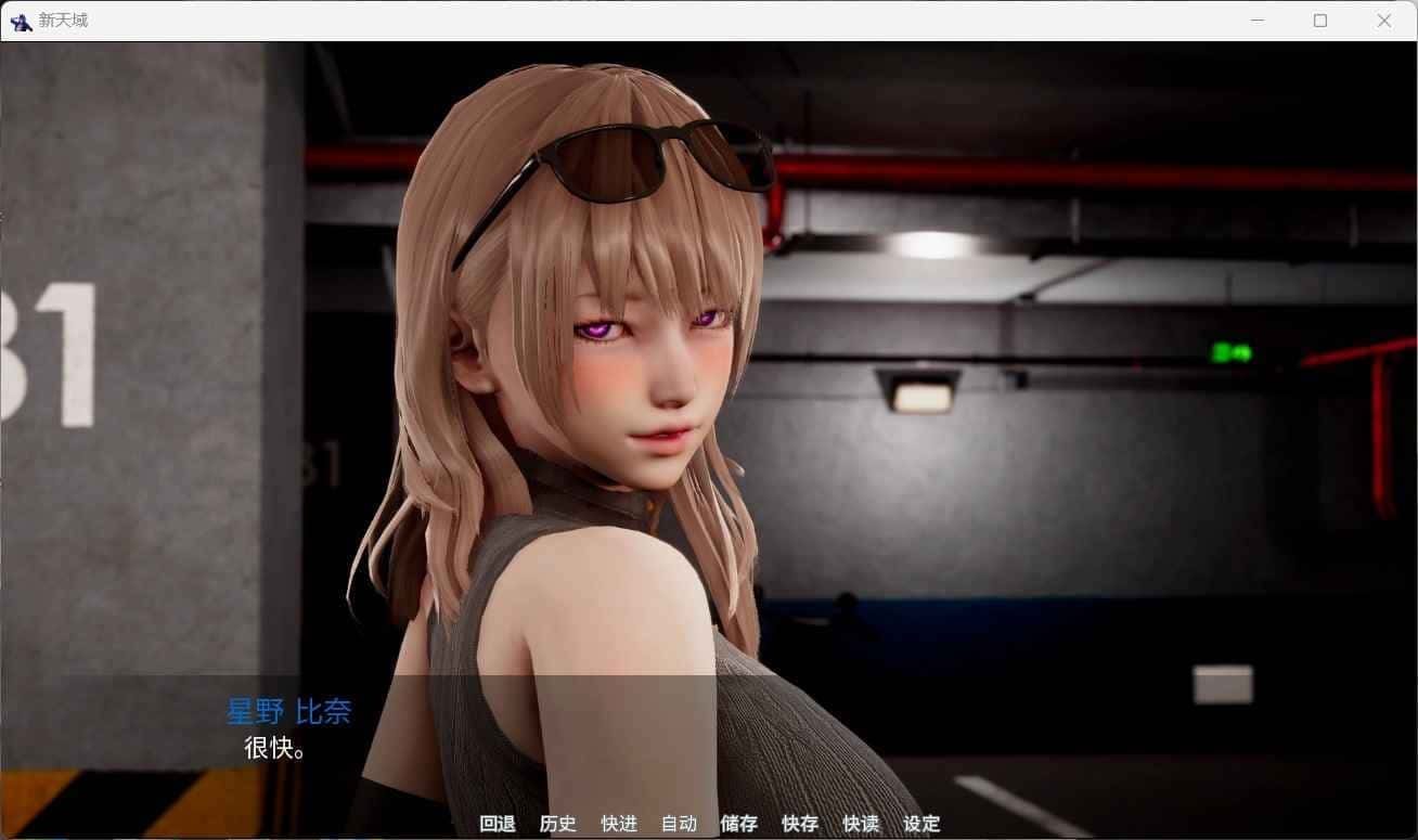 新天域 (新地平线) PC版 资料图 6